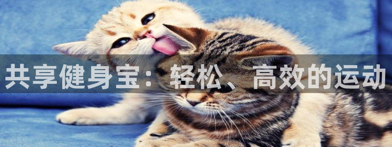 意昂4集团logo:共享健身宝:轻松、高效的运动