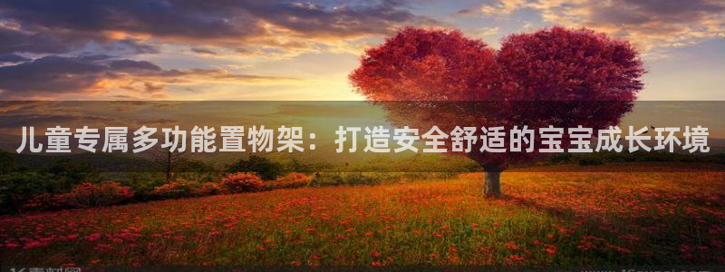 意昂体育4招商电话地址是多少:儿童专属多功能置物架:打造安全
