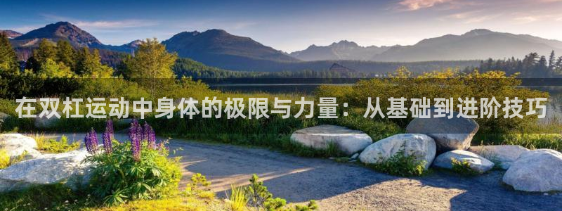 意昂体育4平台注册:在双杠运动中身体的极限与力量:从基础到进