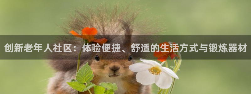 意昂体育4招商电话是多少号码:创新老年人社区:体验便捷、舒适