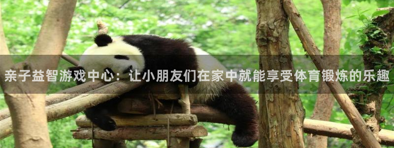 意昂体育4:亲子益智游戏中心:让小朋友们在家中就能享受体育锻