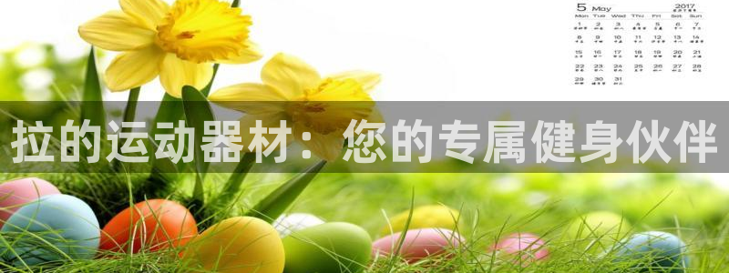 意昂体育4平台注册流程图:拉的运动器材:您的专属健身伙伴